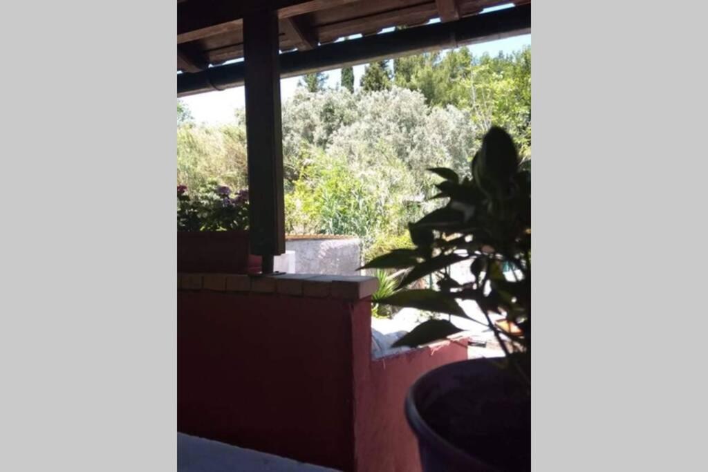 Green Hill Studio Corfu Town Экстерьер фото