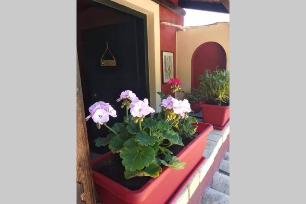 Green Hill Studio Corfu Town Экстерьер фото